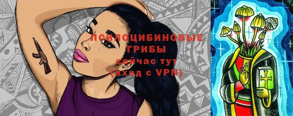 прущая мука Богородицк
