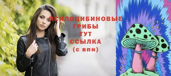 гашик Верхнеуральск